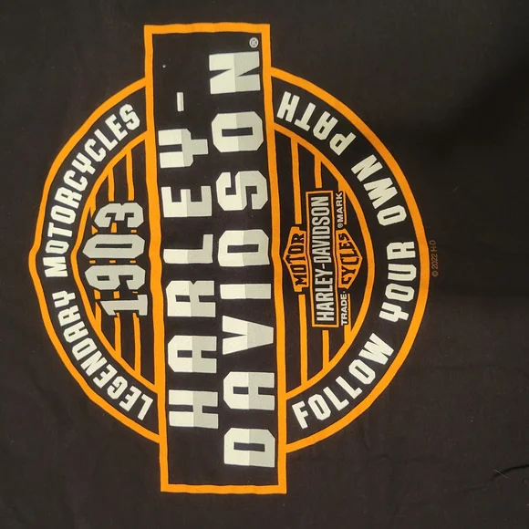 Harley-Davidson Black T-Shirt for Men - Picture 2 of 6